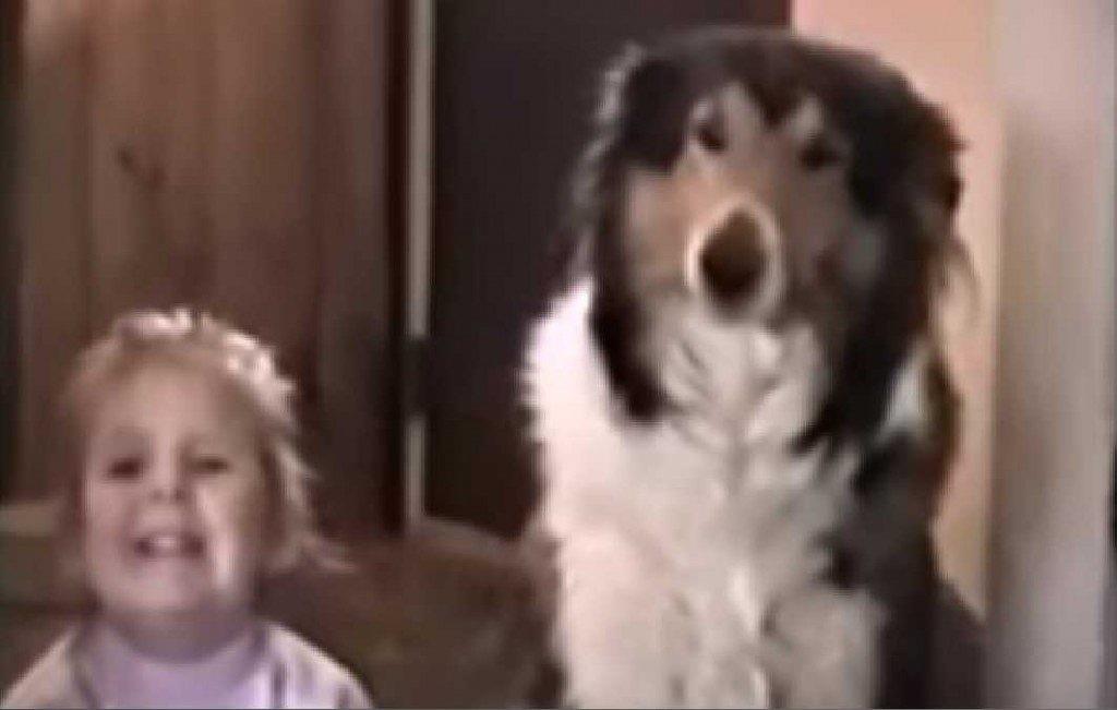 Mutter sagt ihrer Tochter, sie soll für die Kamera lächeln – was der Hund dann macht, bringt alle zum Lachen!