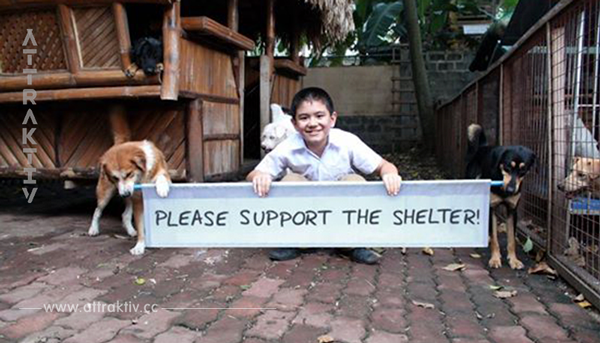 Großes Herz: 9 jähriger Junge eröffnet Tierheim für herrenlose Vierbeiner.