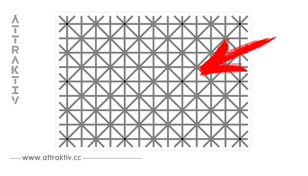 Auf diesem Gitter sitzen 12 schwarze Punkte. Kannst du sie alle sehen? Dann bist du wahrscheinlich ein Genie.
