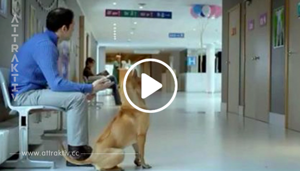 Der Besitzer wartet mit seinem Hund im Krankenhaus – aber schau, mit was die Krankenschwester herauskommt