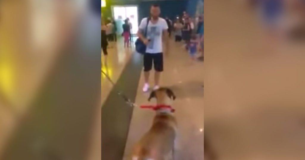 Dieser Hund sah seinen Besitzer für 3 Jahre nicht – seine Reaktion wurde bereits von über 17 Millionen gesehen