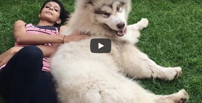 Sie adoptiert einen süßen, kleinen Welpen – „Man sieht anscheinend einen so großen Löwenhund nie!“