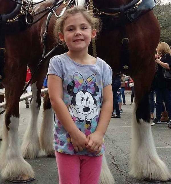 Papa fotografiert seine Tochter vor ein paar Pferden – das Foto, das dabei herauskommt, bringt alle zum Lachen