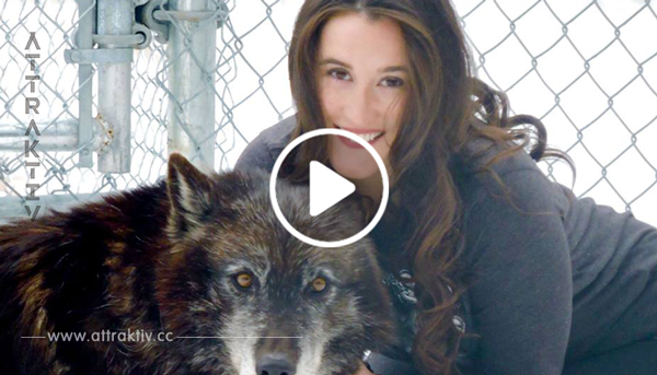 Sarah wurde mit 19 vergewaltigt – als sie diesen Wolf trifft, verändert sich jedoch alles