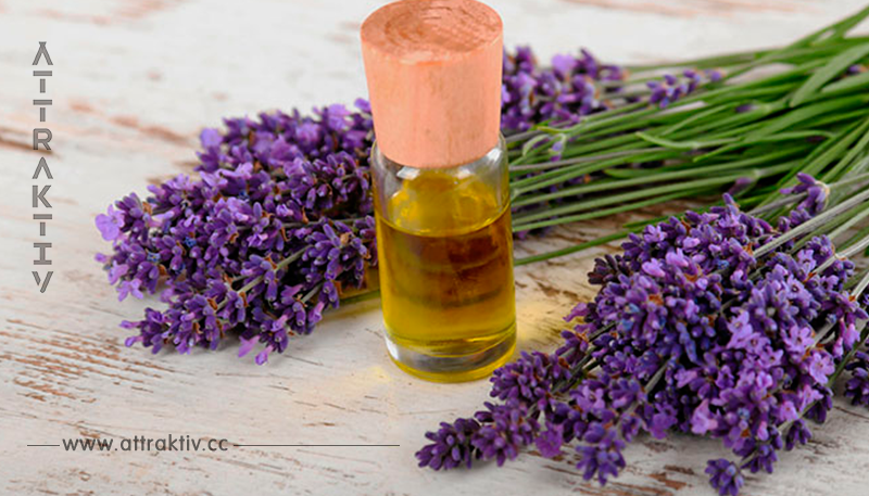 Heilpflanze Lavendel: Natürliches Beruhigungsmittel