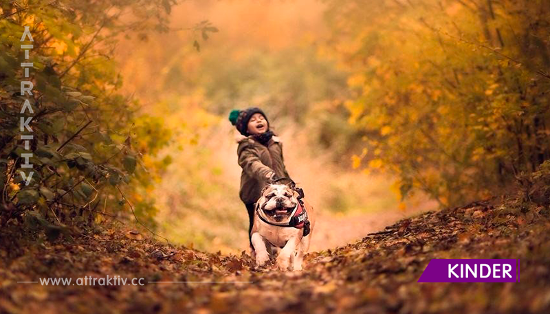 Sie wollte nur ein Foto von ihrer Tochter und ihrem Hund machen, aber sie hatte ein echtes Wunder geschafft