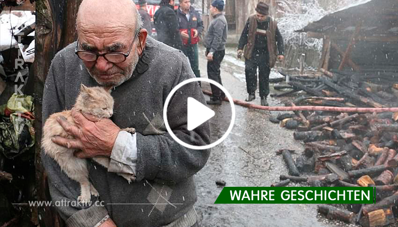 Der alte Mann umarmt das überlebende Kätzchen, alles, was er nach dem Feuer noch hat. So eine traurige Geschichte!