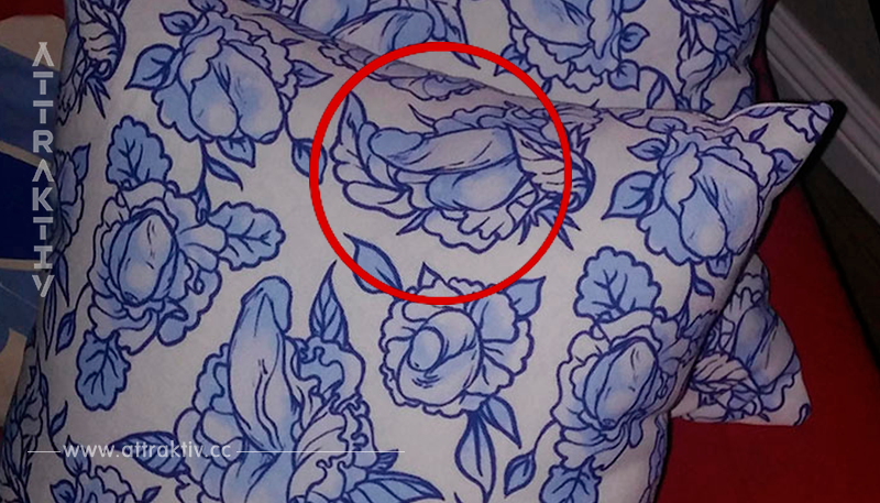 Diese Mutter hatte schöne Kissenbezüge mit gemalten Blumen gekauft. Aber als sie etwas aufmerksamer schaute, wurde sie schockiert