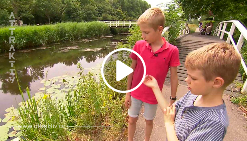 Ein 10-jähriger Junge sieht ein Baby ins Wasser fallen – daraufhin verrichtet er eine wahre Heldentat!