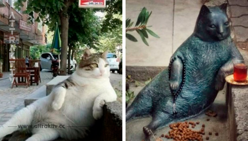 Istanbuls verstorbener „Meme Katze“ wurde nun die Ehre zuteil, als Statue verewigt zu werden