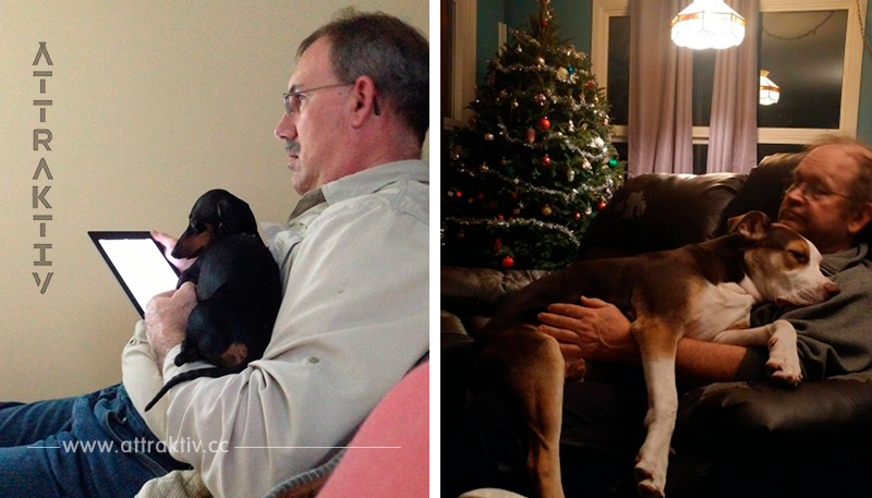 10 Väter, die die verdammten Hunde nicht haben wollten. Diese Bilder sprechen eine deutliche Sprache.