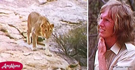 Zwei Männer kommen nach Afrika, um trotz Warnungen den Löwen zu treffen, den sie vor langem großgezogen haben