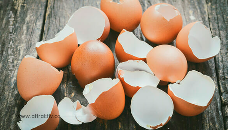 9 Gründe, warum du Eierschalen nicht wegschmeißen solltest