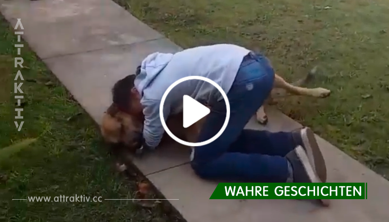 Video: 11-Jähriger findet Hund nach 8 Monaten wieder.