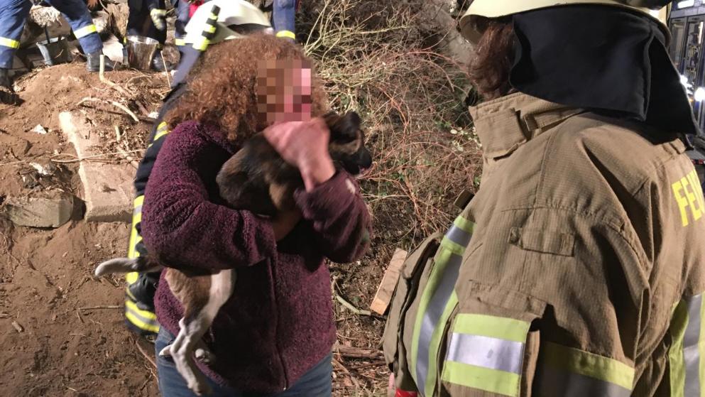 BESITZERIN RIEF DIE FEUERWEHR Terrier „Bärchen“  in Schutthaufen gefangen Retter des Technischen Hilfswerks retteten den Hund schließlich