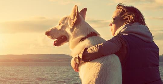 Diese 12 Hunde helfen am besten gegen die Einsamkeit