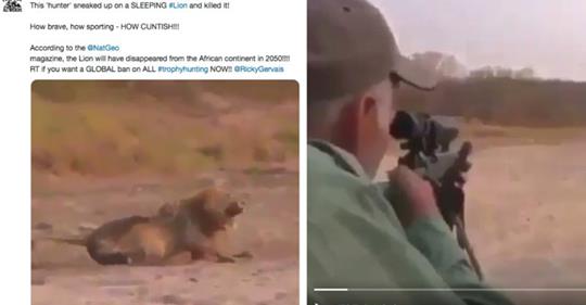 Trophäen Jäger erschießt schlafenden Löwen