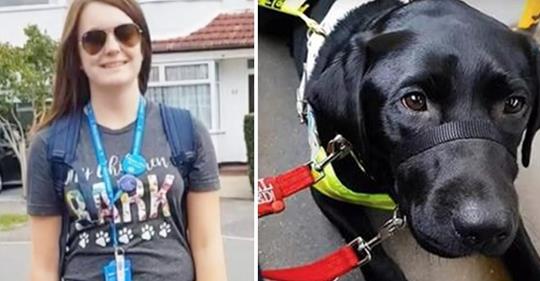 Buspassagier sagte blinder Frau, sie solle den Blindenhund aus dem Bus nehmen, weil er schwarz war
