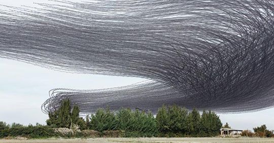 Dieser Fotograf macht die Spuren der Vögel in der Luft sichtbar