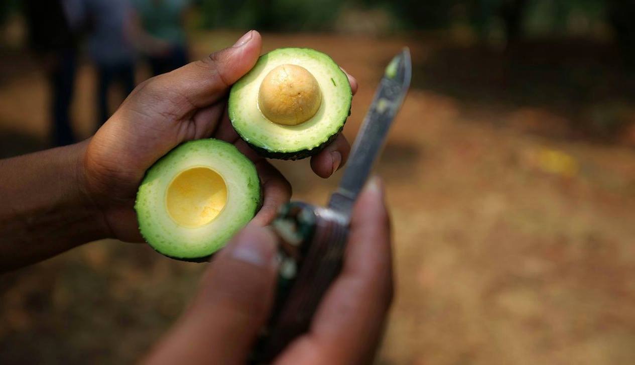 Sterne-Koch nennt Avocados die Blutdiamanten Mexikos