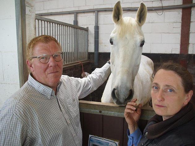 Fünf Pferde in Krefelder Reiterhof vergiftet und verendet: 8000 Euro Belohnung