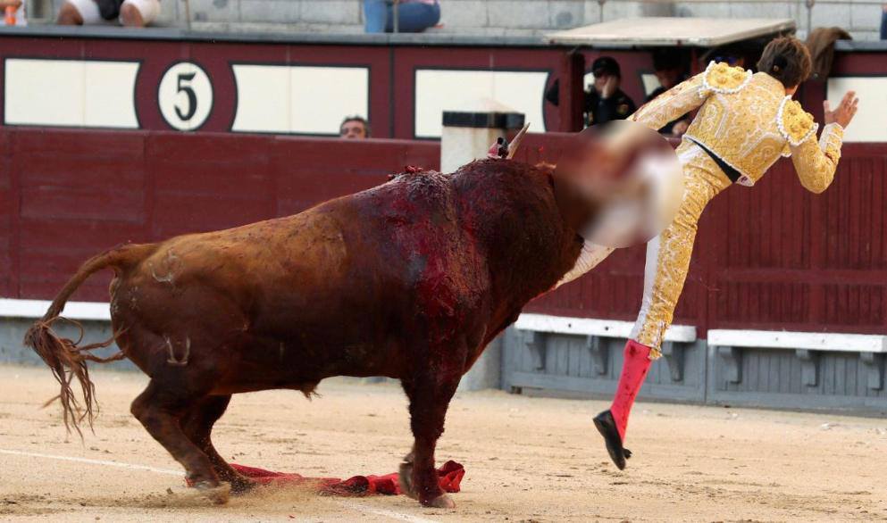 25 ZENTIMER LANGE WUNDE Bulle spießt Matador auf – am Hintern!