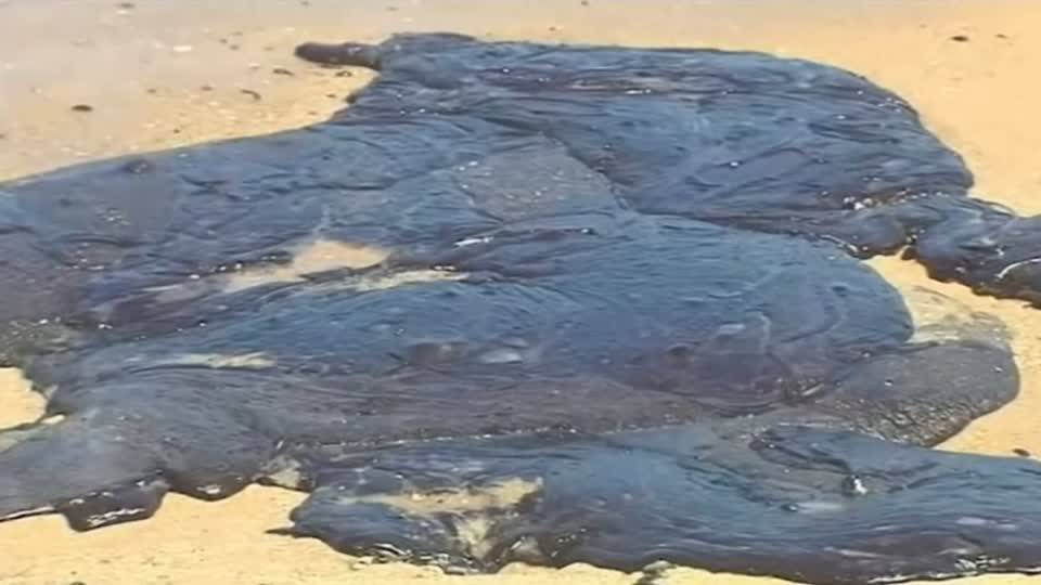 Ölschlamm verschmutzt Tausende Kilometer Strand