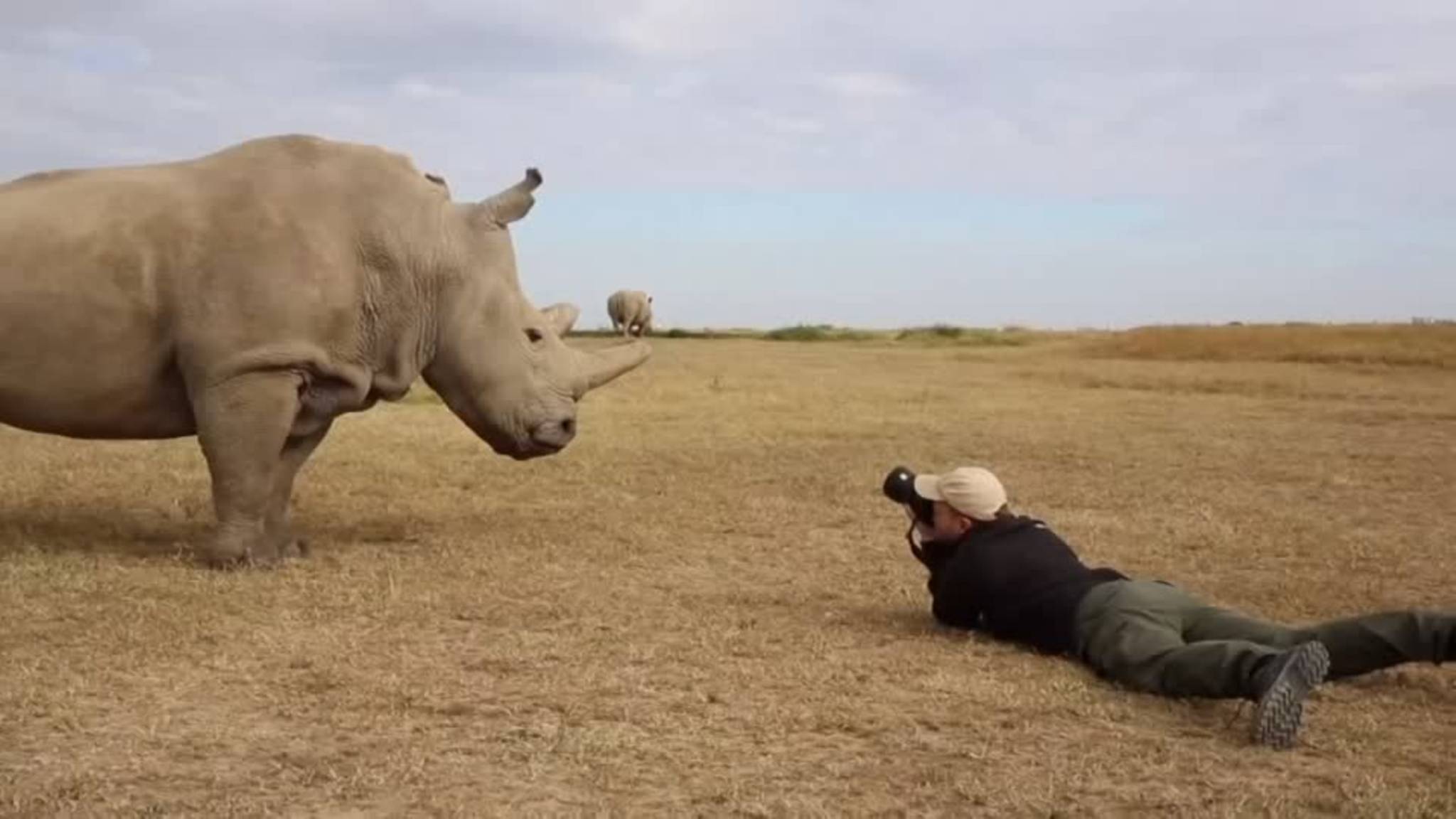 Kampf gegen das Aussterben: Tierfotograf sammelt Fingernägel, um Nashörner zu retten