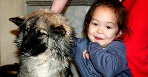 Mädchen aus Siberien mit Schäferhund vermisst: Jetzt kommt die Wahrheit ans Licht!