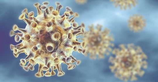 Forscher erklären, warum das Coronavirus nicht aus dem Labor stammt