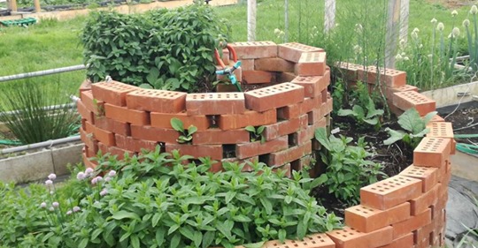 Kräuterspirale & Co.: Ideen und Tipps für Ihren eigenen Kräutergarten