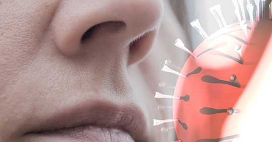 Anosmie: Was Sie über den Verlust des Geruchssinns wissen müssen