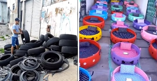 Künstler sammelt alte Reifen, um sie in gemütliche Betten für streunende Hunde und Katzen zu verwandeln