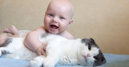 Von der Kamera entlarvt Katze gibt vor, Baby nicht zu mögen – und kuschelt aber heimlich mit ihm