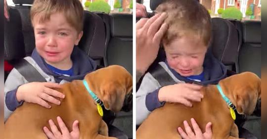 Dieses Baby umarmte seinen ersten Welpen und konnte die Tränen der Rührung nicht zurückhalten (+VIDEO)