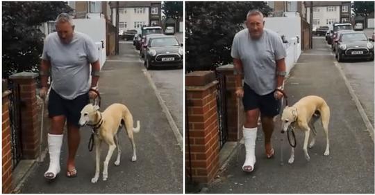 Mann bringt humpelnden Hund zum Tierarzt: 'Billy' ahmte Herrchen aus Mitleid nach