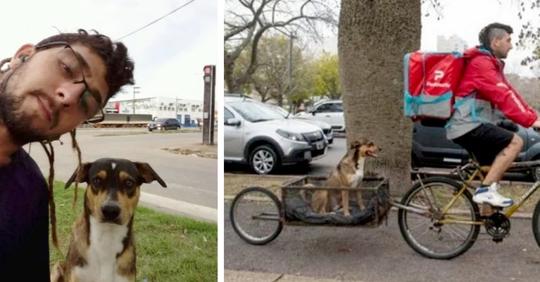 Zusteller baut sein Fahrrad so um, dass er den Hund tragen kann, den er von der Straße gerettet hat