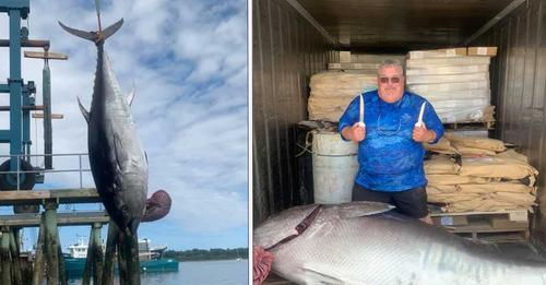 Fischer in den USA spenden 300 Kilo schweren Thunfisch an Suppenküche