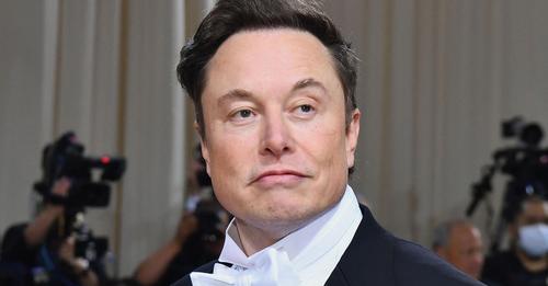 Elon Musk startet Abstimmung über Begnadigung aller gesperrten Twitter Nutzer