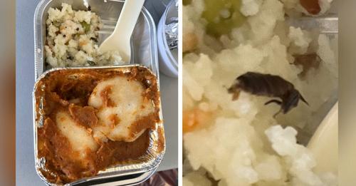 Passagier findet Kakerlake im Essen, aber die Fluggesellschaft verteidigt sich: 'Es ist sautierter Ingwer'