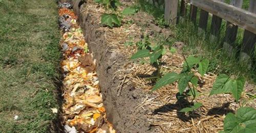 Der Kompostgraben – genialer Garten Clou?