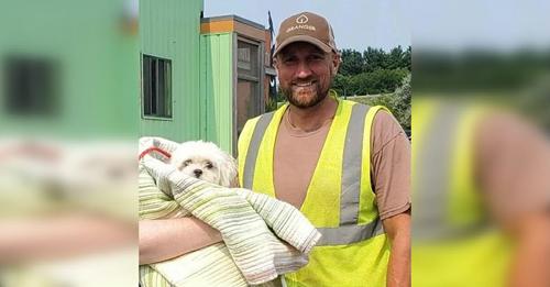 Müllwagenfahrer findet kleinen Hund im Müll und rettet sein Leben