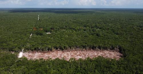 Narbe im Paradies: Maya-Zug rollt durch Mexikos Regenwald
