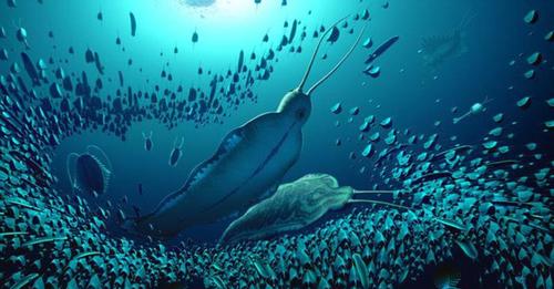 Gefräßiger Raubwurm war vor 500 Millionen Jahren der Schrecken der Meere