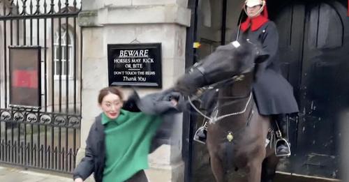 'Bitte nicht anfassen': King's Guard Pferd beißt sich an Touristin fest